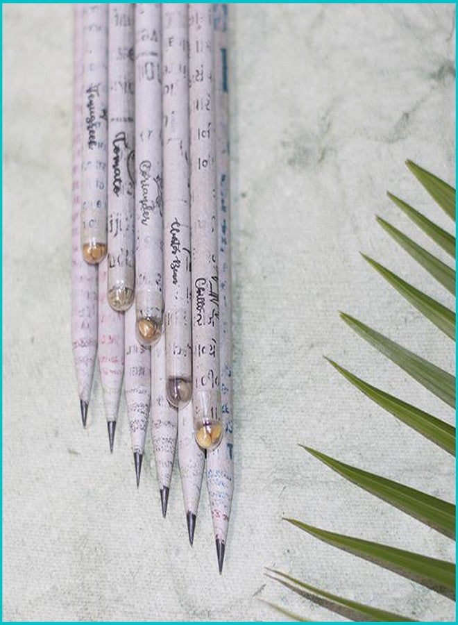 GoodWill Tech NS Plantable Pencil Recycled Plantable Eco Friendly Newspaper Pencils (Pack of 60) - Image 4